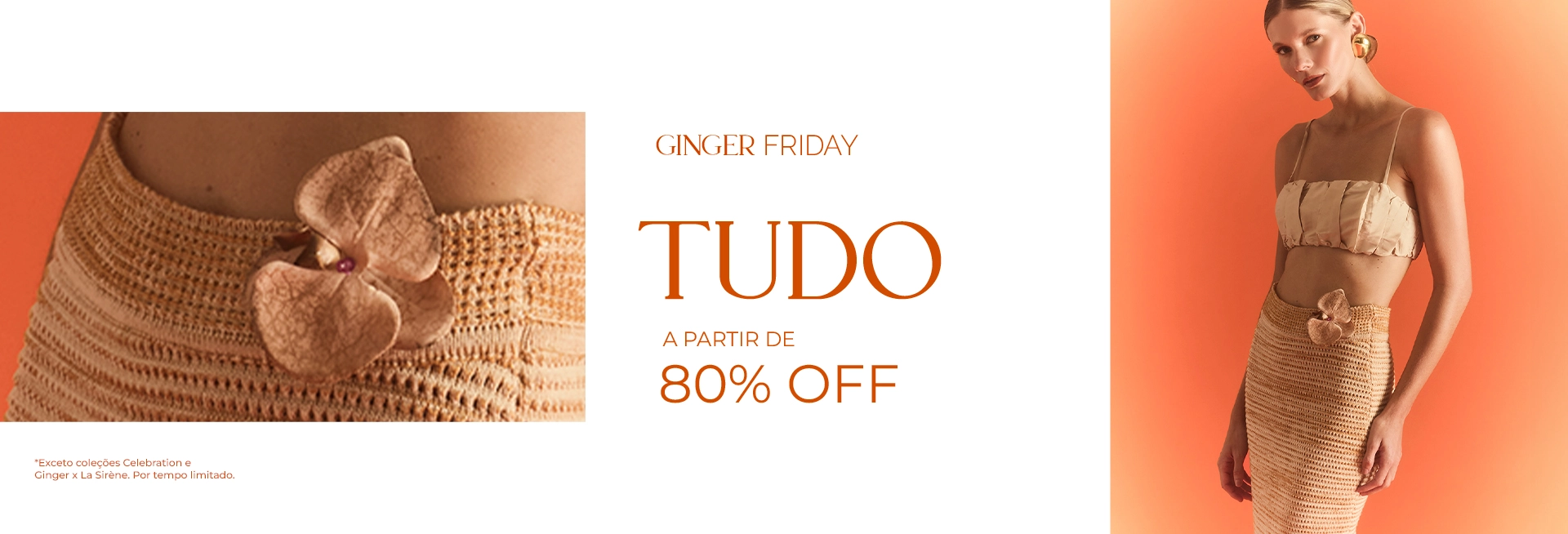 Banner Ginger Friday